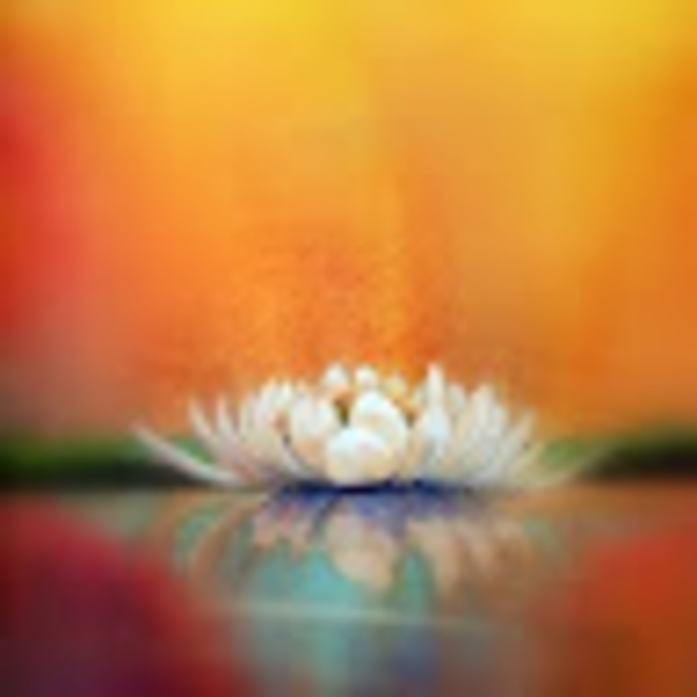 Meet your Posher, Marylouise